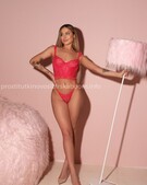 Анкета проститутки Карина - метро Красносельский, возраст - 22