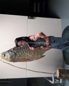 Анкета проститутки Маргарита - метро Мещанский, возраст - 27